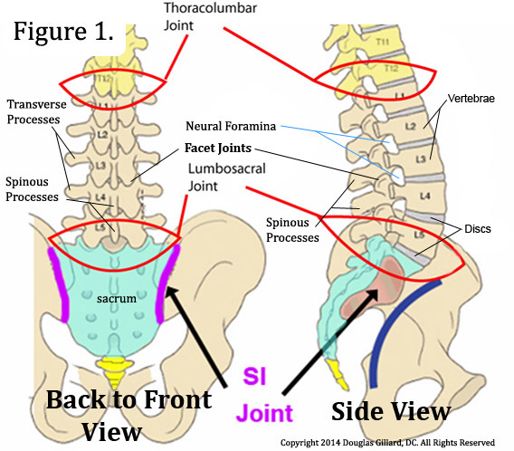 l5 backbone